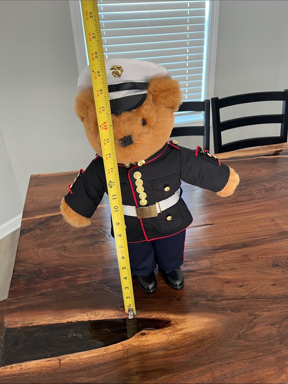 Rare plush USMC bear - Picture 2 of 5